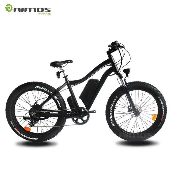 Popular Cheap E-Bike with Brand Motor and Battery